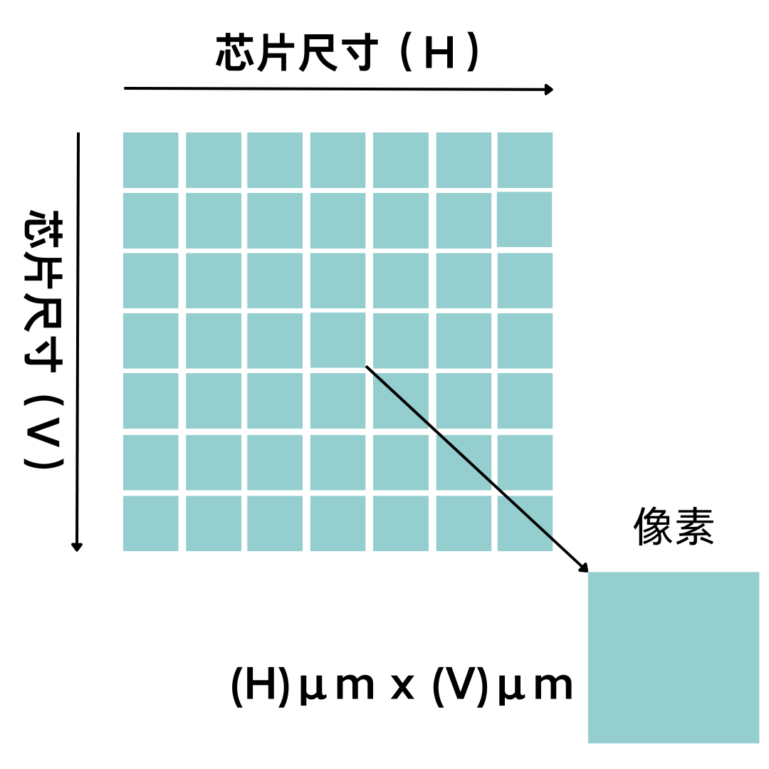 芯片尺寸.png